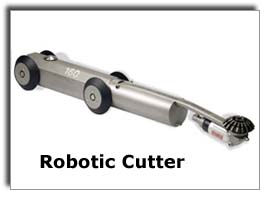 Robotic Cutter